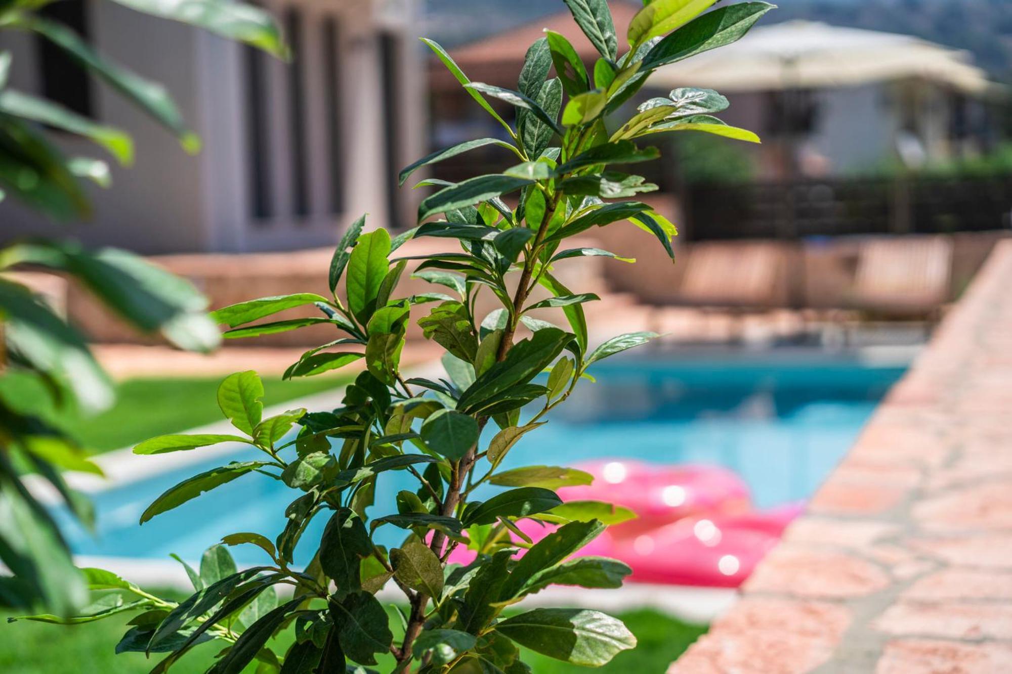 Appartement Marival Luxury Living - Adults Only